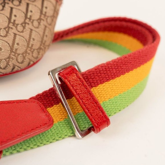 Dior Rasta Trodder Saddle Belt Bag - Picture 4 of 6